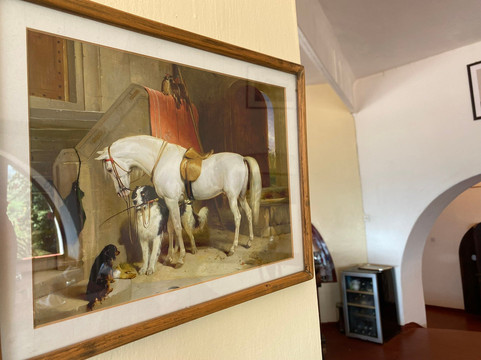 Grogan's Castle Hotel主图