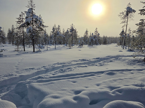 Safartica Yllas-Yllasjarvi必去景点