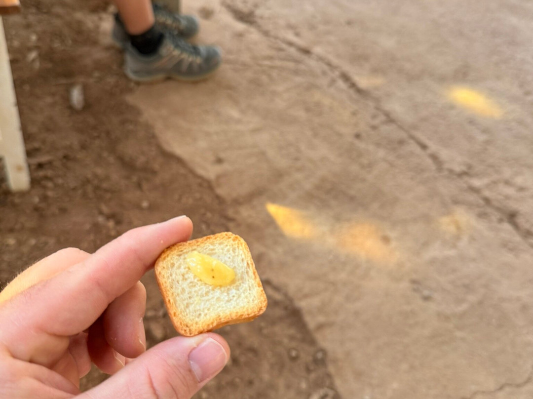 Finca Las Margaritas Banana Experience-拉斯加勒塔斯必去景点