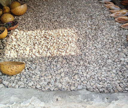 Nouvelles Frontieres-达喀尔必去景点