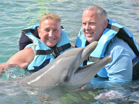 Dolphin Discovery Grand Cayman-西湾必去景点