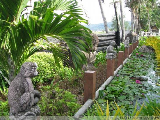 普吉岛塔夫棕榈海滩度假村主图