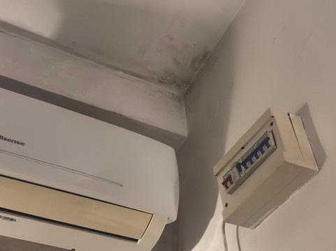 辛哈拉加森林边缘旅馆主图