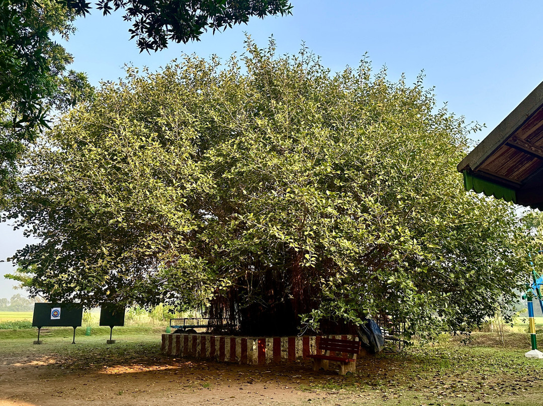 马鲁瑟姆乡村度假村主图