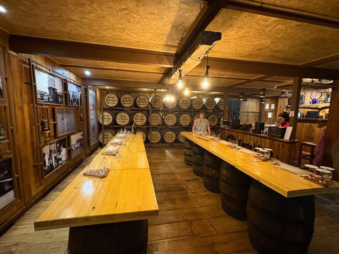 Tree Trek Boquete-波魁特必去景点