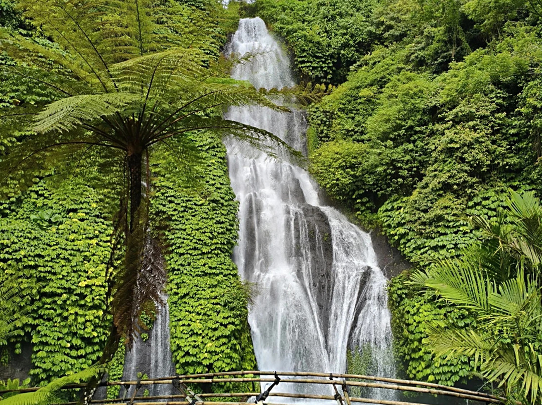 Adi Bali Gede Tour-新加拉惹必去景点