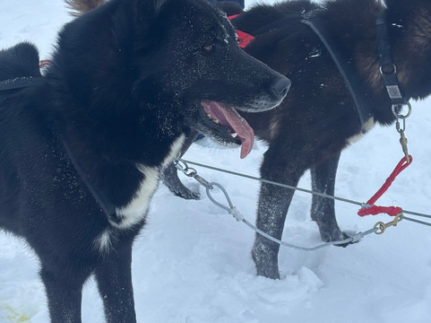 Alpi Traineau-Orcieres必去景点