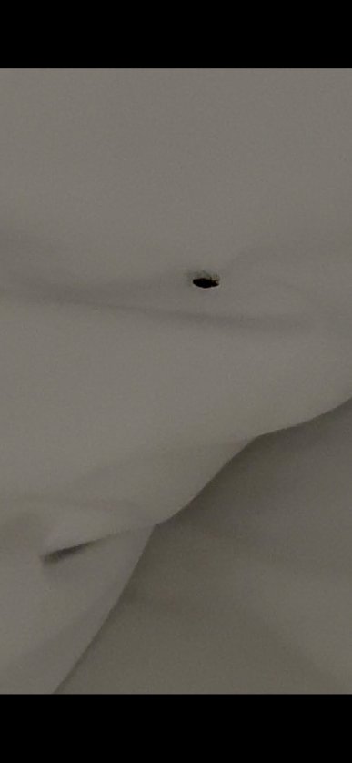 罗阿诺克假日酒店 - 坦格乌德路线419及581-客卧