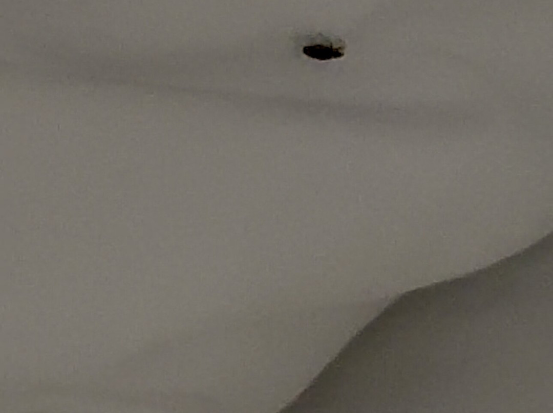 罗阿诺克假日酒店 - 坦格乌德路线419及581主图