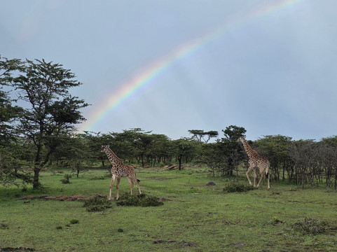 Morningstar Tours and Travel-Syokimau必去景点
