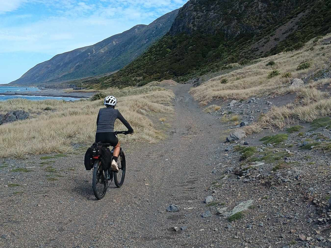 Wildfinder-惠灵顿必去景点