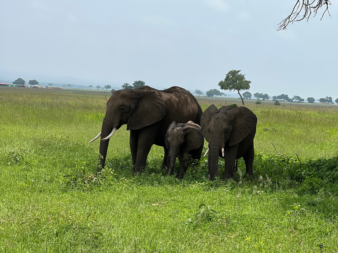 Dau Tours & Safaris-石头城必去景点