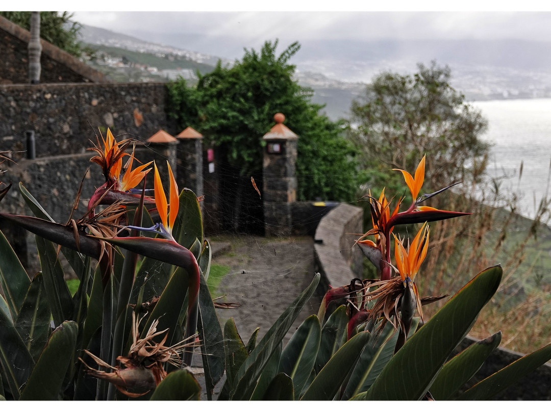 Parque Mirador Los Lavaderos-El Sauzal必去景点