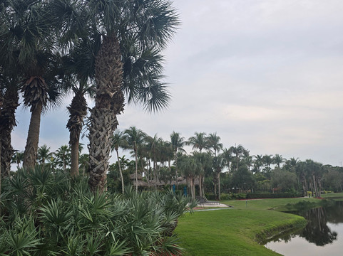 波尼塔泉椰子海湾酒店式公寓 - Hyatt假期俱乐部酒店主图