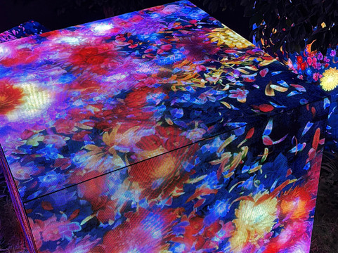 teamLab Phenomena Abu Dhabi-阿布扎比必去景点