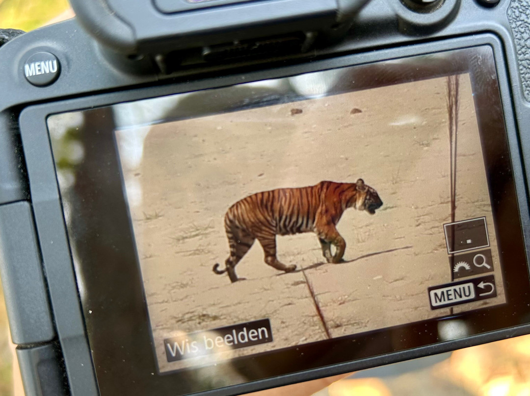 Nepal Dynamic Eco Tours & Services-奇旺国家公国必去景点