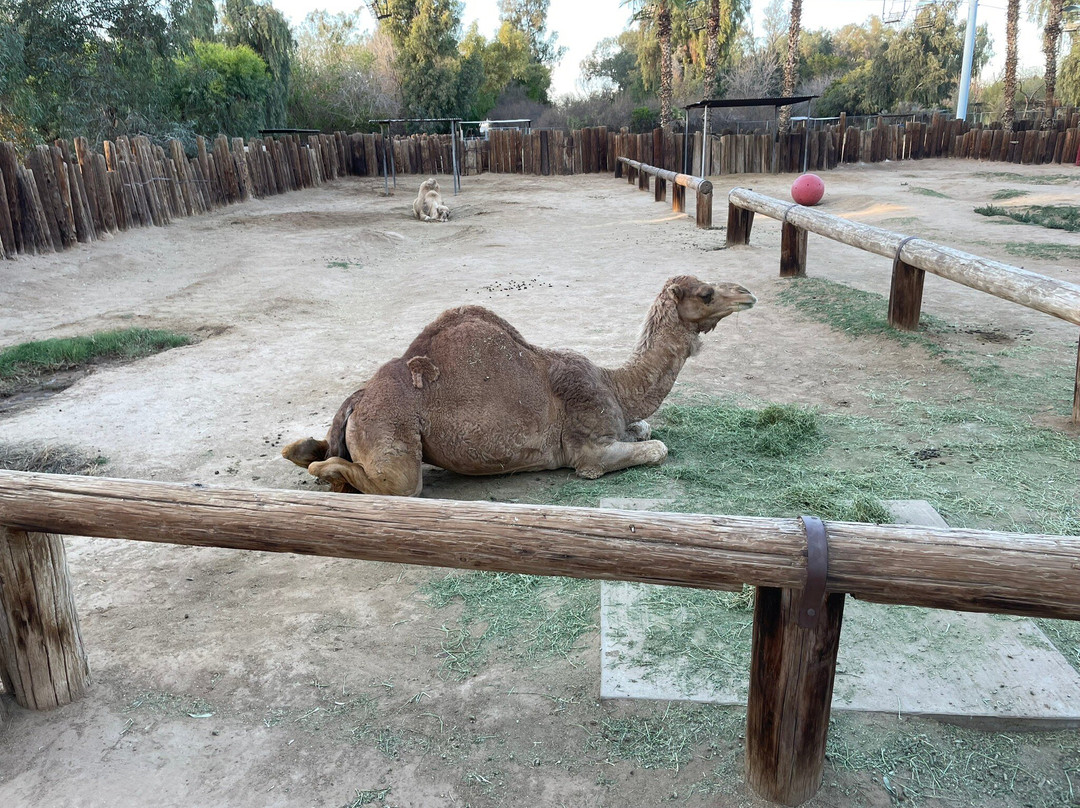 Wildlife World Zoo and Aquarium-Litchfield Park必去景点