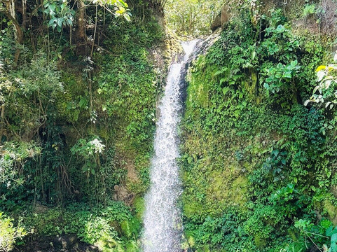 Manakin Waterfalls Nature Reserve.-Tilaran必去景点