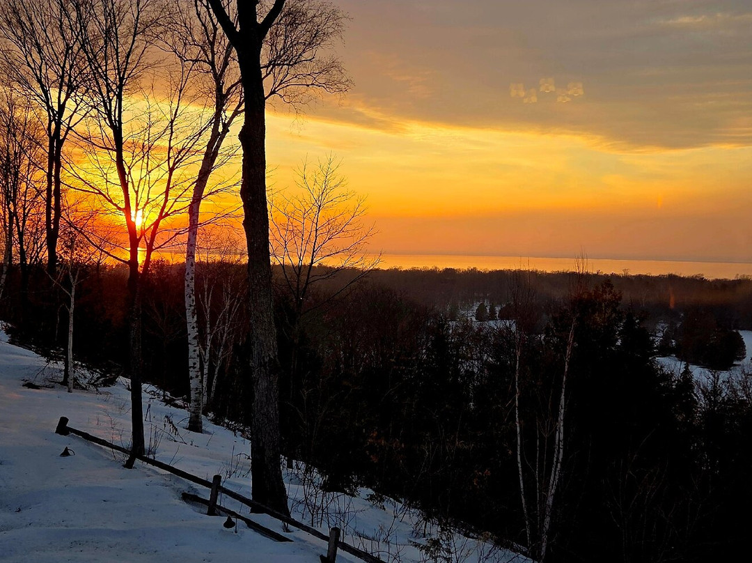 Ember at The Landmark Resort