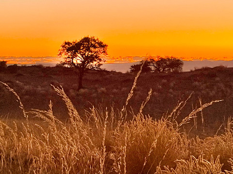 Tok Tokkie Hiking Trails-NamibRand Nature Reserve必去景点