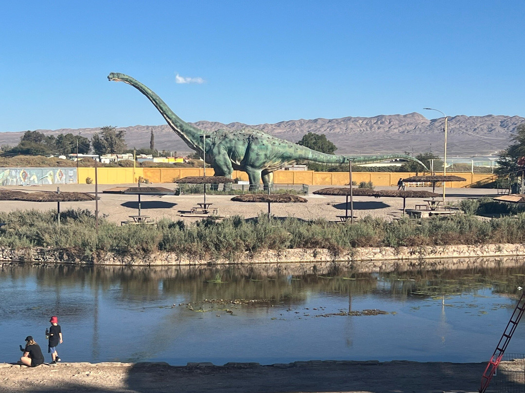 Parque El Loa-Calama必去景点