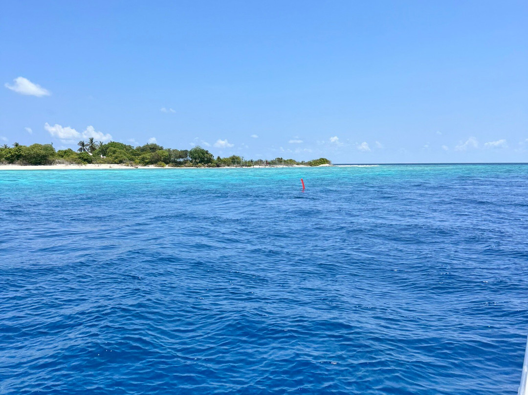 Blue Wave Ifuru By Dive Butler At Ifuru Island Maldives-Ifuru必去景点