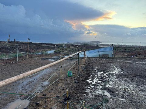 Horse Riding Canaria-特尔德必去景点