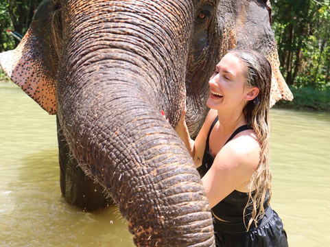 Krabi Elephant Sanctuary-甲米必去景点