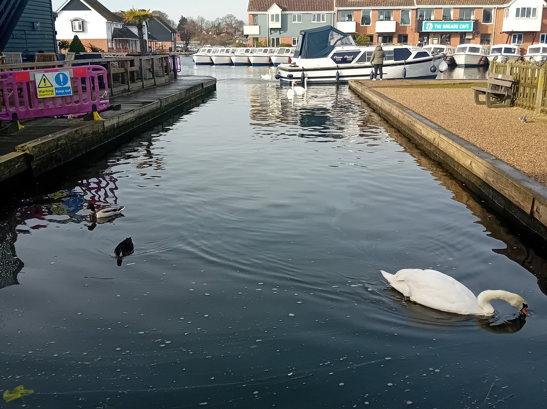 Wroxham Bridge-罗克瑟姆必去景点