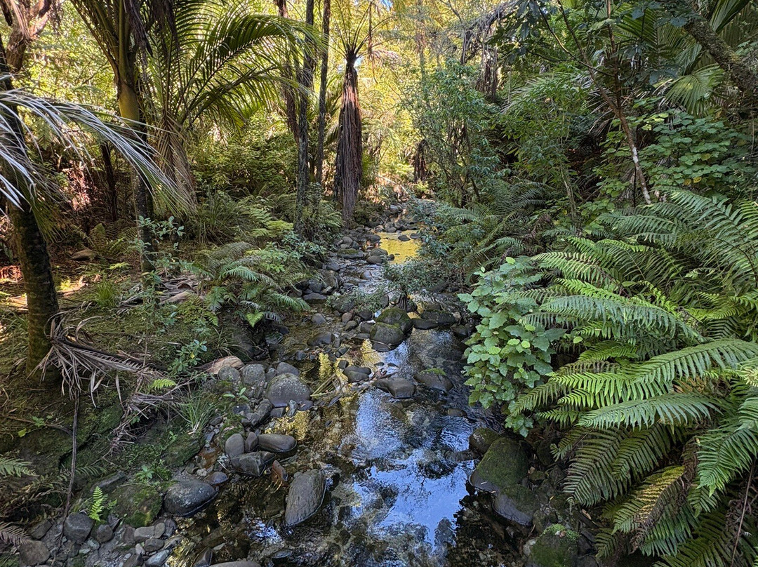 Morere Hot Springs-Morere必去景点