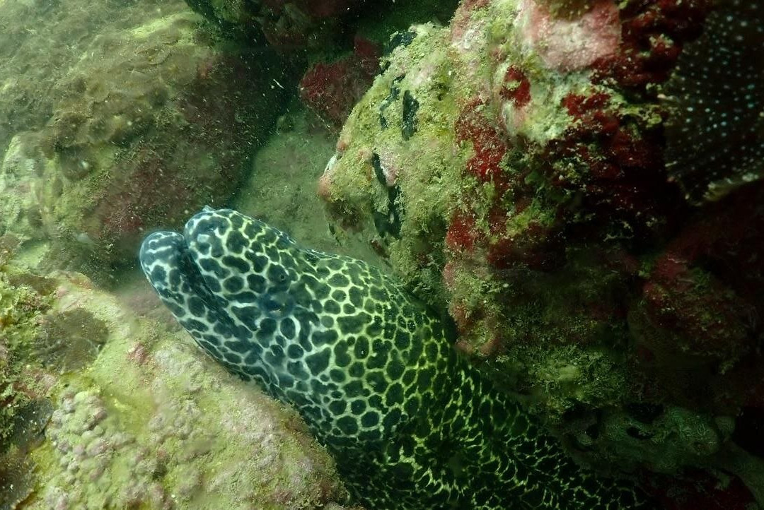 Epic Ocean Adventures-Trincomalee必去景点