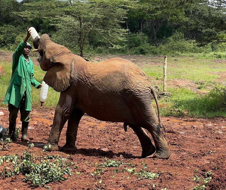 DISCOVERY OUTDOORS KENYA-Langata必去景点