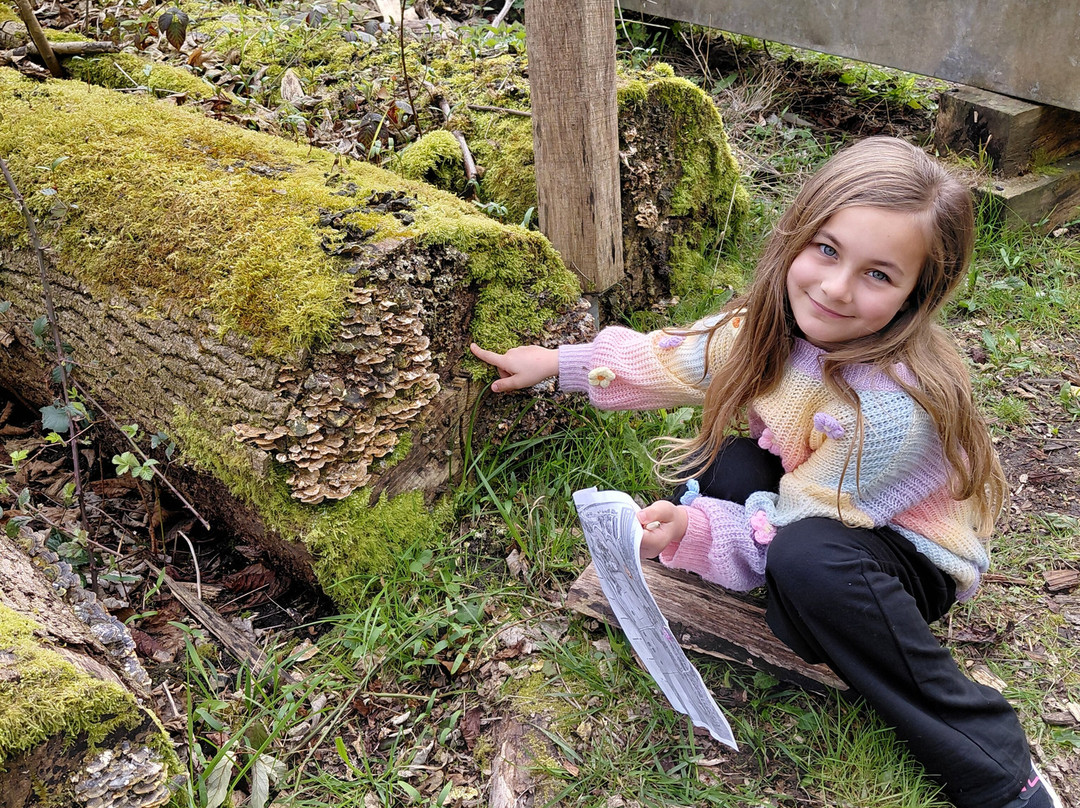Weald & Downland Living Museum-Singleton必去景点