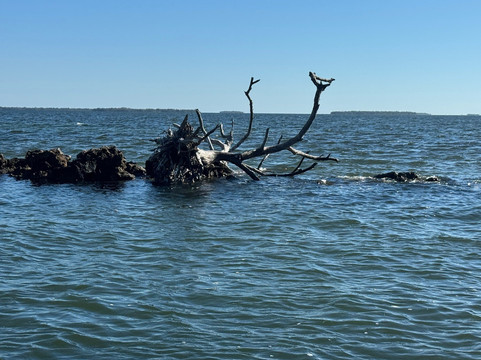 Boats And Fun-North Captiva Island必去景点