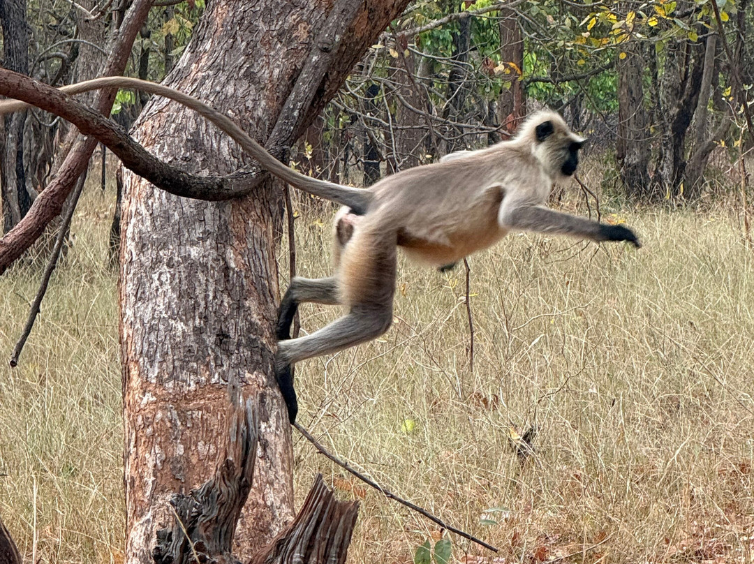 Alternative Tours-布巴内斯瓦尔必去景点