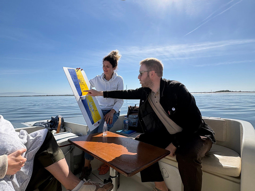 Sterna - Aveiro Ria Tours & Birdwatching-阿威罗必去景点