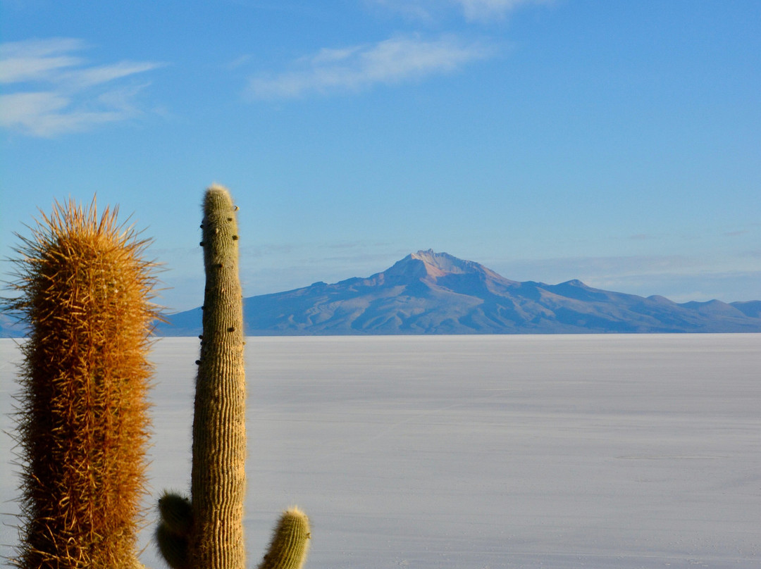 Salares Tours-Tupiza必去景点
