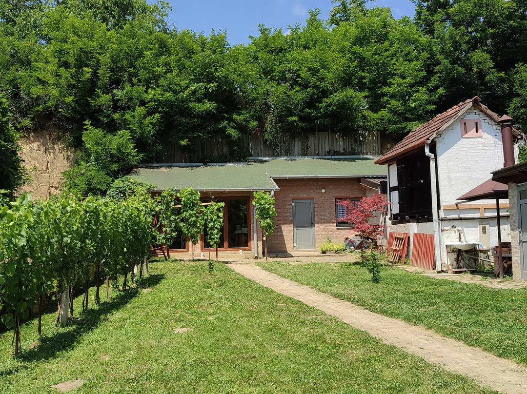 Winery Zoto