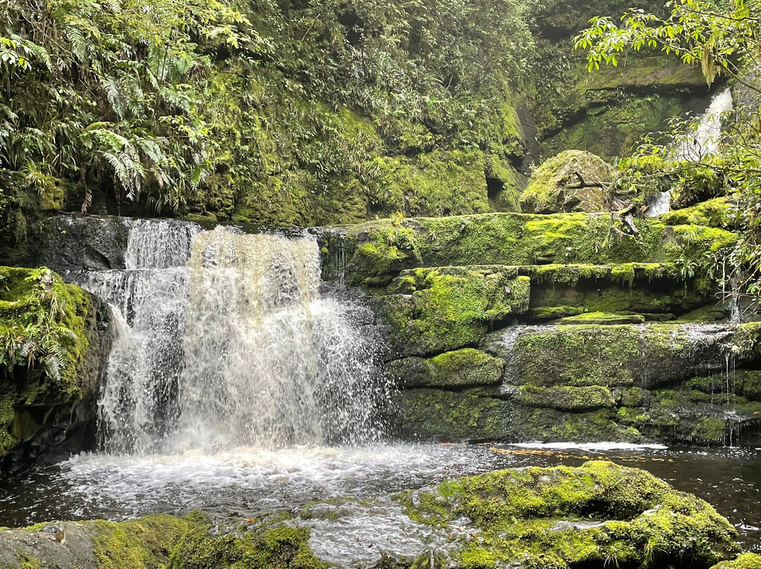 McLean Falls-Papatowai必去景点
