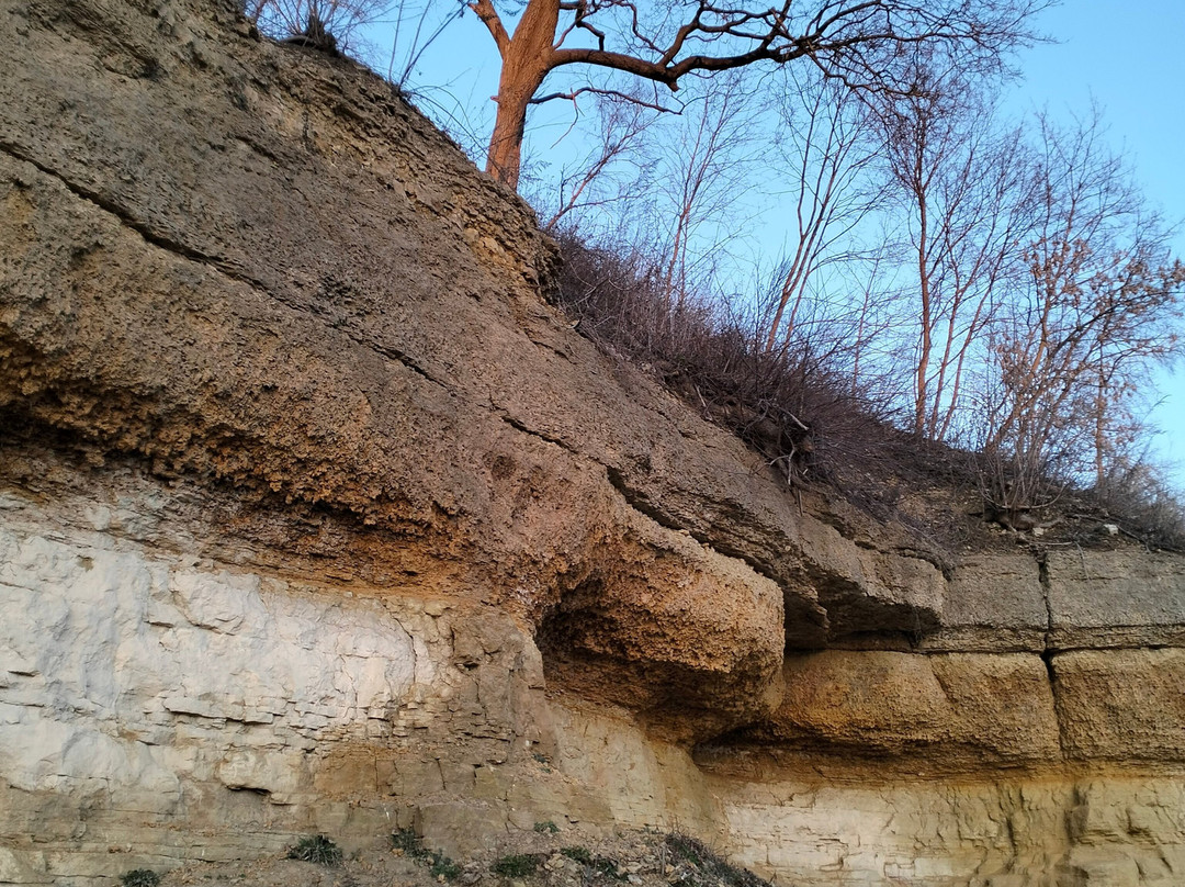 Park Dvoryanskoye Gnezdo-Oryol必去景点