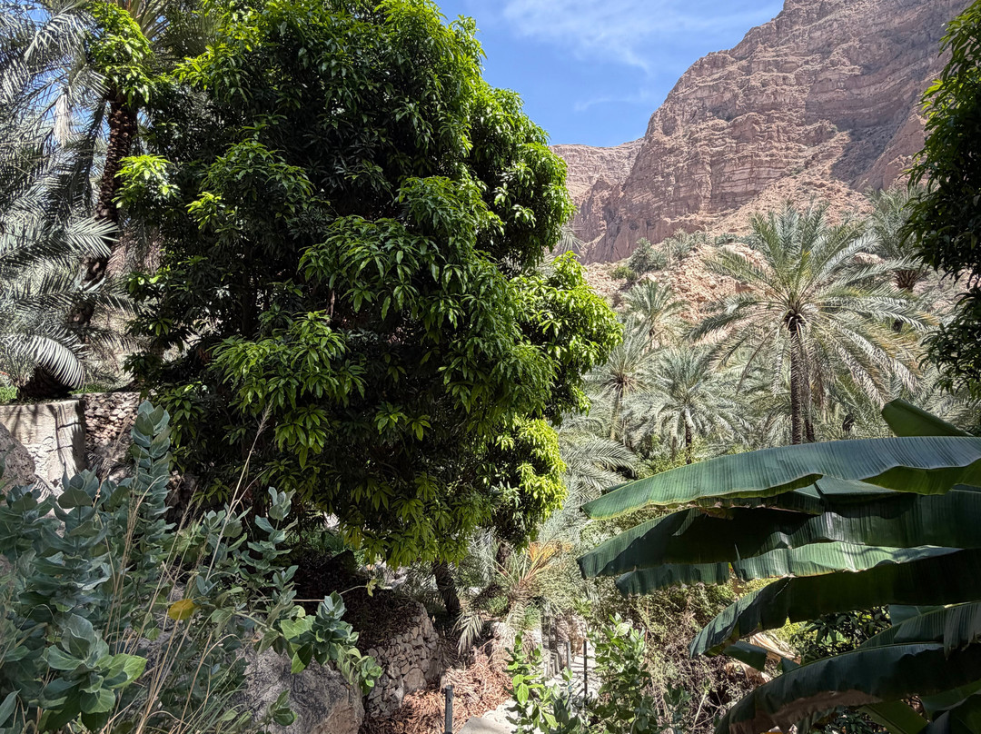 Wadi Tiwi Mibam Adventure-提维必去景点