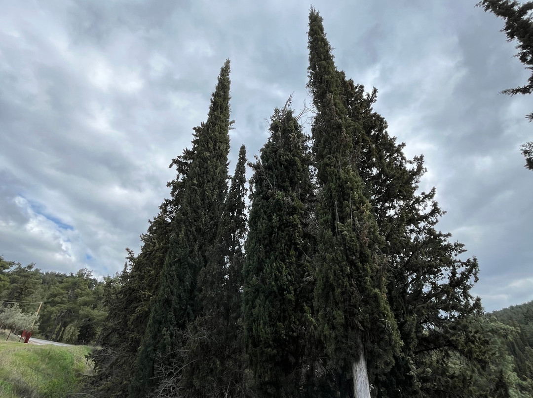 阿格楠希欧温泉酒店主图