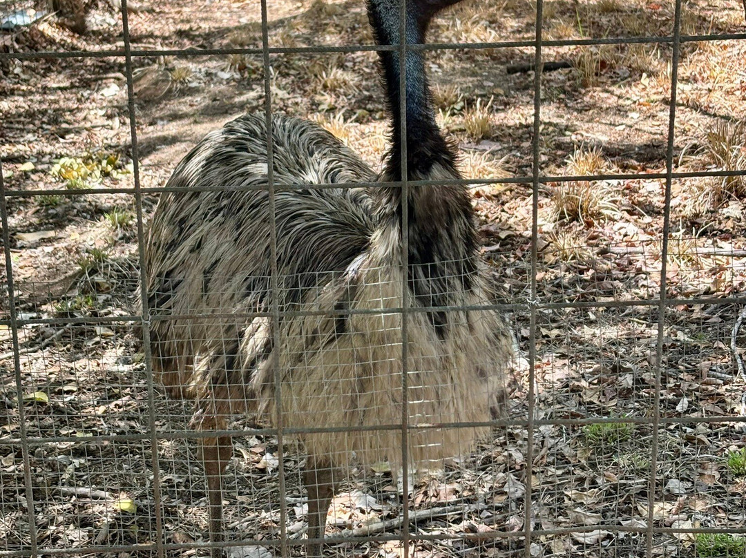 APAMI Wild Life-Portegolpe必去景点