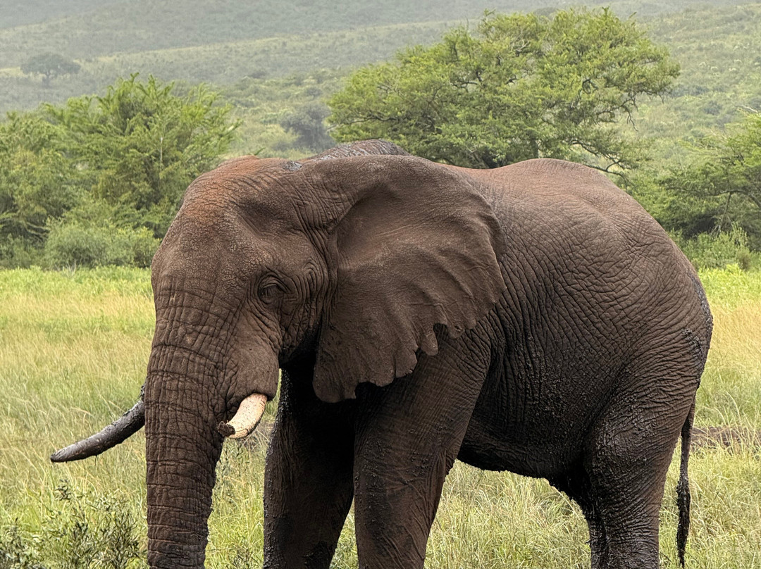 赫里塔奇之家酒店主图