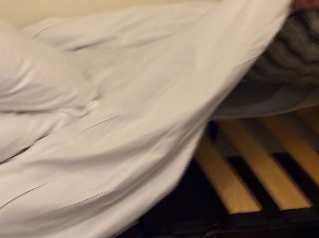 阿罗赫尔定制酒店主图