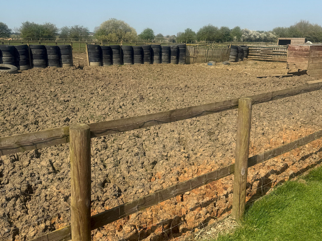 Little Jack's Farm and Garden Centre-Bottesford必去景点