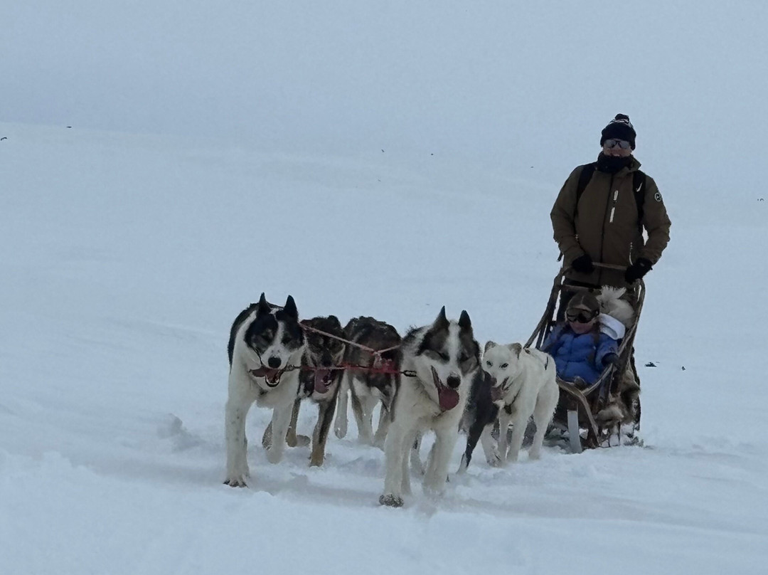 Geilo Husky Day Tours-耶卢必去景点