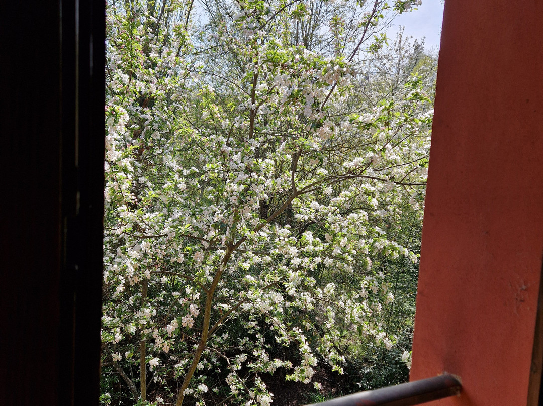 Agriturismo Fattoria Quercia主图