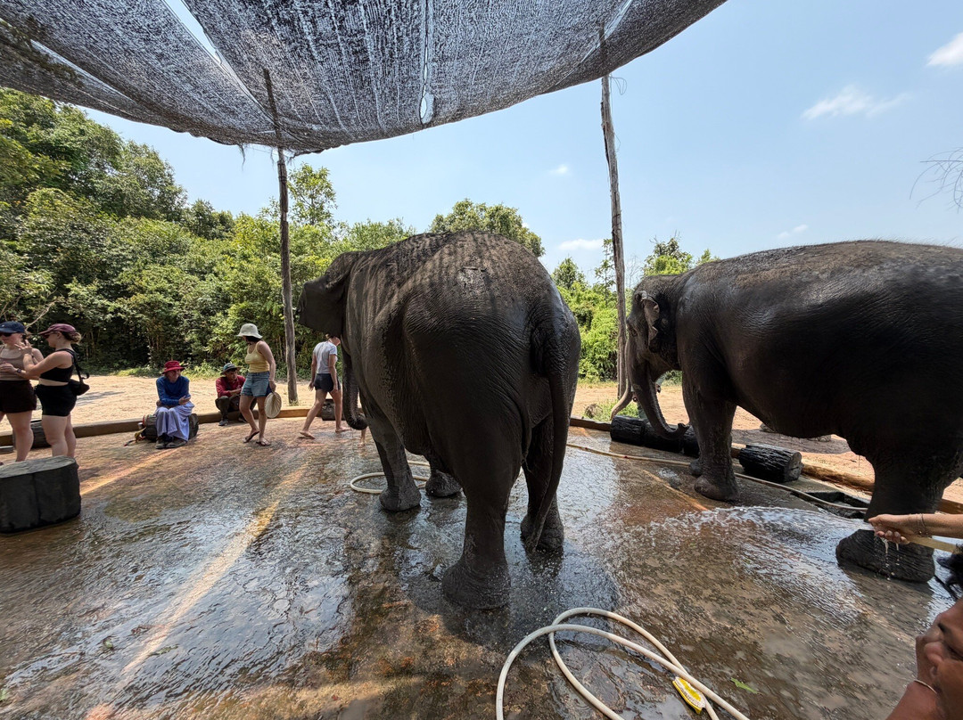 Kulen Elephant Forest-暹粒必去景点