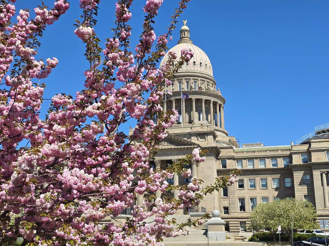 Idaho State Capitol Building-博伊西必去景点